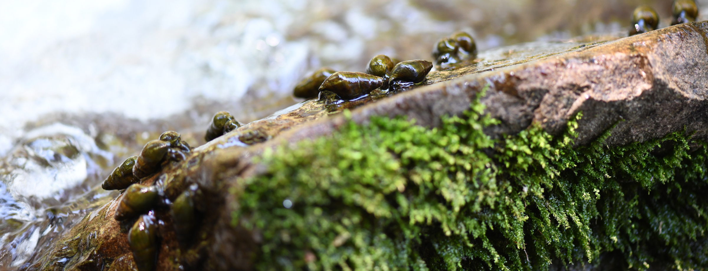 下水管に直接油脂が流出するのを防ぐ